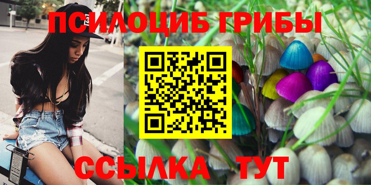 Псилоцибиновые грибы MAGIC MUSHROOMS  Вход с VPN  Краснодар  Псилоцибиновые грибы прущие грибы 